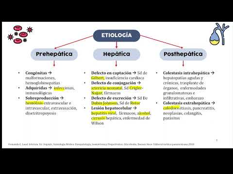 ICTERICIA - SOCEMURP