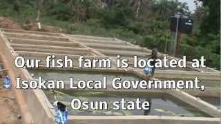 Piggery and Catish Farm in Nigeria 1.MPG