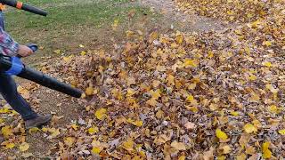 kobalt 40v Max backpack blower vs STIHL FS700