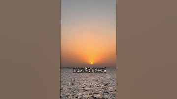 ﴿ولقد أنزلنا إليك آيات بينات وما يكفر بها إلا الفاسقون﴾ عبدالله الجهني