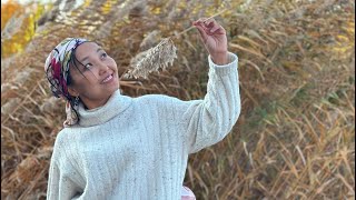 видео: ЧАКРАНЫҢ ДИАГНОСТИКАСЫ картинка: ЧАКРАНЫҢ ДИАГНОСТИКАСЫ