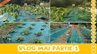 VLOG MAI 2023 Partie 1 : On attache, on plante, on sème, on arrose, on désherbe...