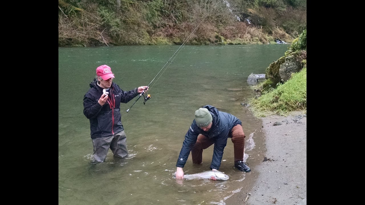 Fishing Guide Kalama side drift Steelhead 1/23/2015