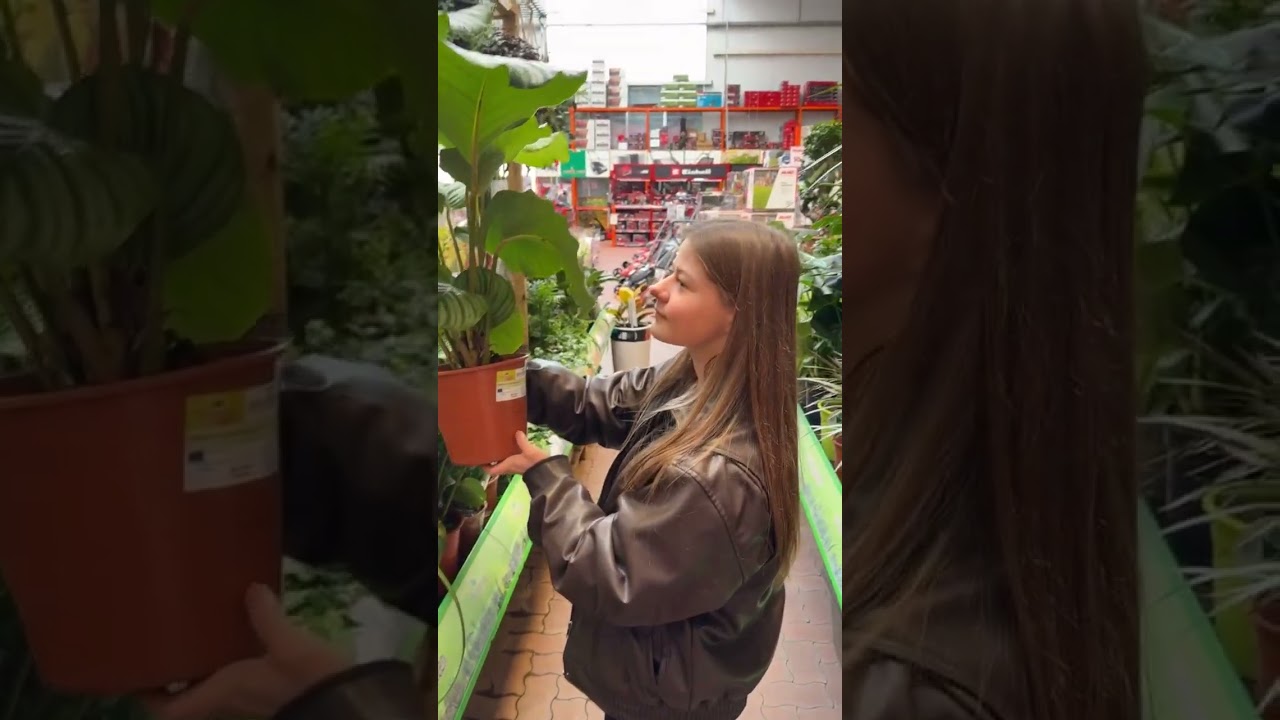 Kann man zu viele Pflanzen haben
-
- #pflanzenliebe #baumarkt #gartencenter #monsteraliebe #str...