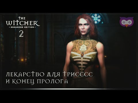 Video: Witcher 2 Torrents Bisa Memberi Anda Denda