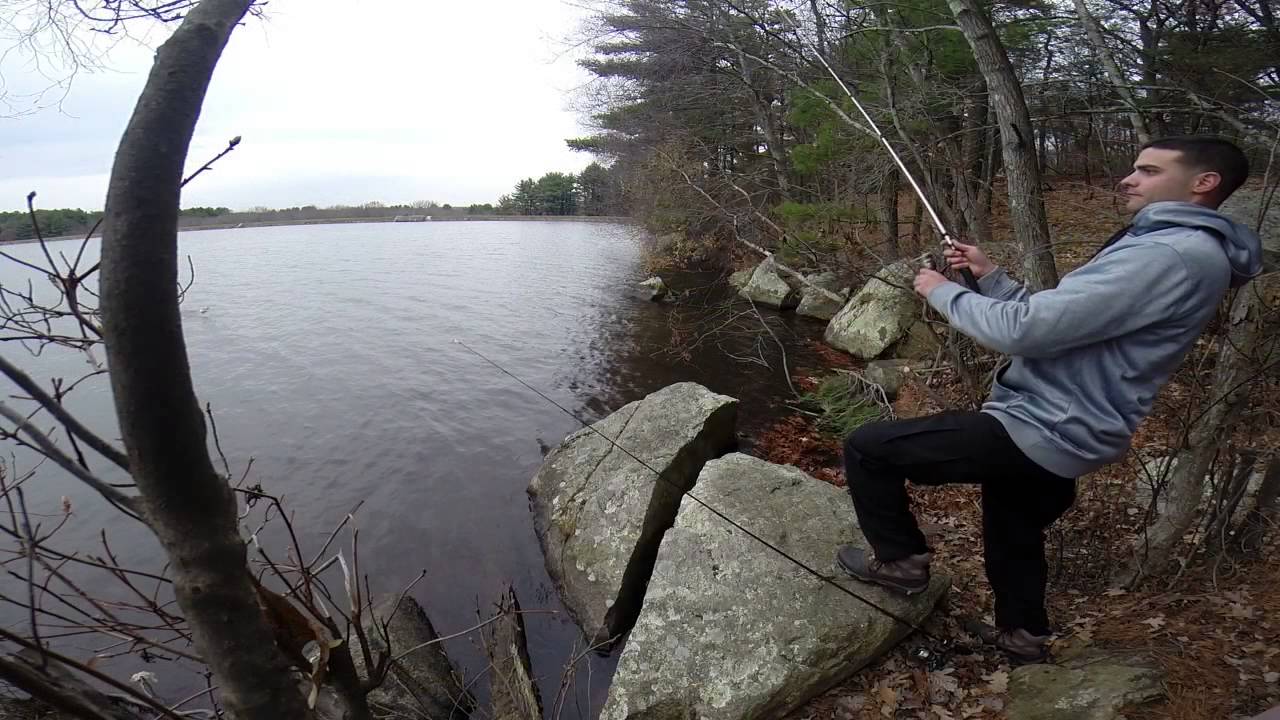 Trout slaying.. Massachusetts fishing! YouTube