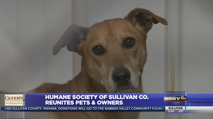 Humane Society reunites pets & owners after tornado, including Forrest the cat