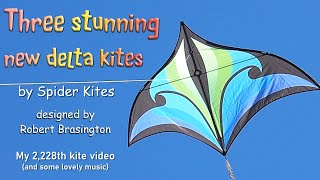 Three stunning new delta kites