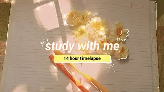 Study Vlog Timelapse Sun Daisy