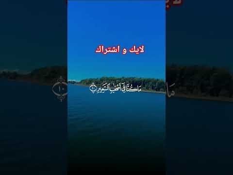 وقالوا لو كنا نسمع او زعقل المانيا اكسبلور كيدز السعودية اطفال تيك توك ترند  ضحك مصر