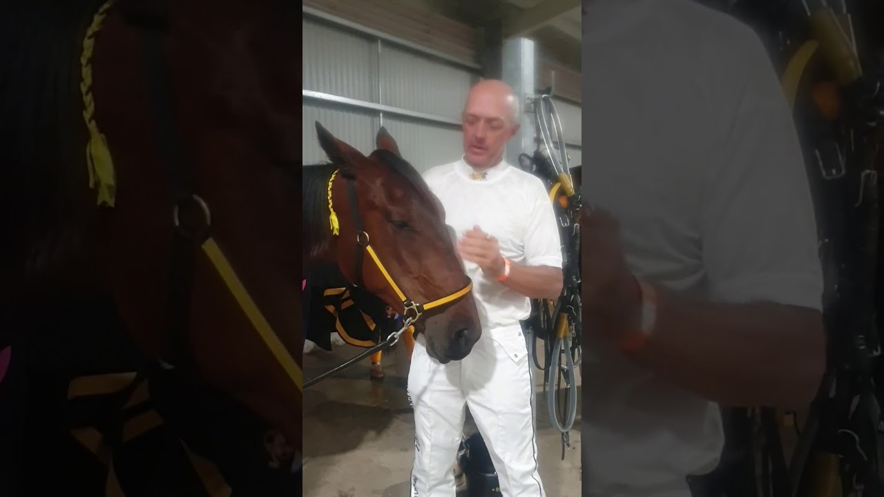 Girl From Oz - commentary update after Bathurst Gold Tiara Elimination (March 18/2020)