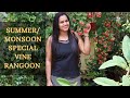 Rangoon- A Highly fragrant flowering vine for Summers/Monsoon||How to grow and care rangoon creeper