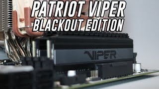 Patriot Viper Blackout Edition 3600MHz - introduction and test