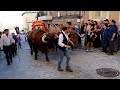 Viii mascaravila desfile internacional de mascaradas entroidos y vaquillas pedrobernardo 13abril24