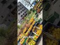 Fairu bhai Tumkur 🥭Kunigal taluk yediur hobli Hemavati Saturday and Sunday mango market top quality
