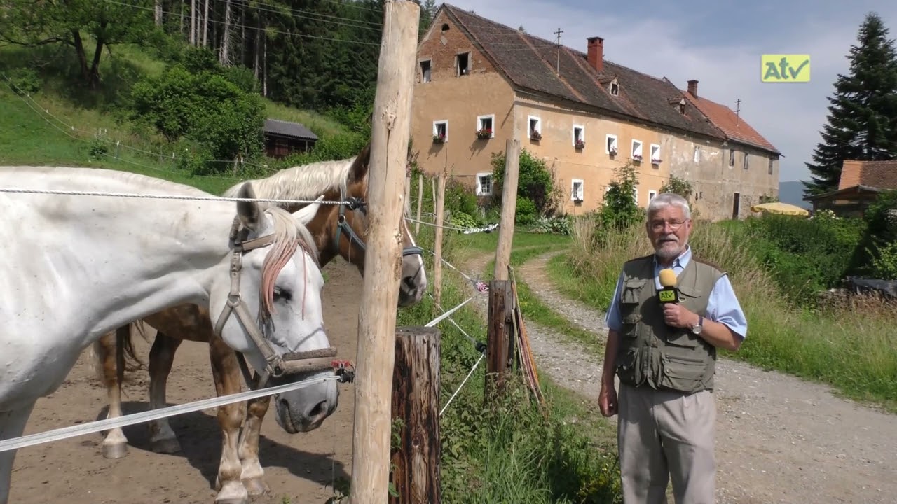 Schatzkiste Murtal....Strettweg