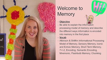 Information Processing Model of Memory