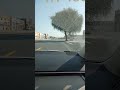 Al Zaid Rak UAE #uae #sharjah #ajman #ytshorts #youtubeshorts
