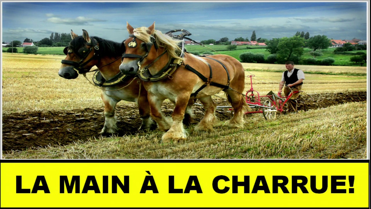La Main La Charrue YouTube La main la charrue youtube