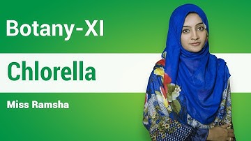 Botany - XI First Year (Chlorella) | MyInterAcademy