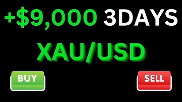 Make $9,000 With Forex EA #trading