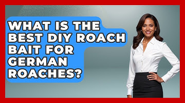 What Is The Best DIY Roach Bait For German Roaches? - Insects and Invaders