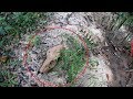 Bigfoot In Georgia? | Part 2 | Native American Artifacts Found