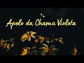 Apelo da Chama Violeta