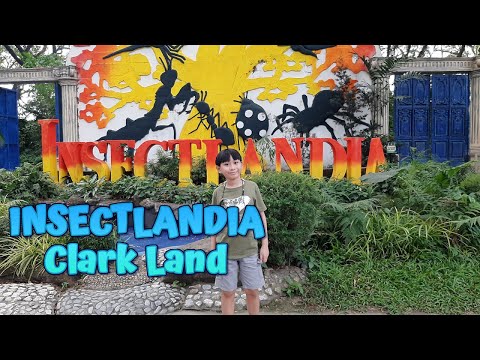 INSECTLANDIA Giant Insects in Clark Land Pampanga Walking Tour