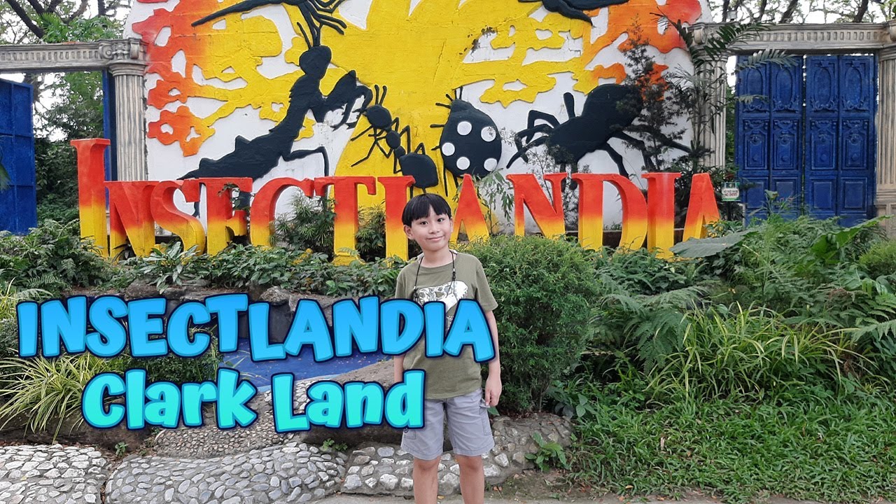INSECTLANDIA Giant Insects in Clark Land Pampanga Walking Tour - YouTube