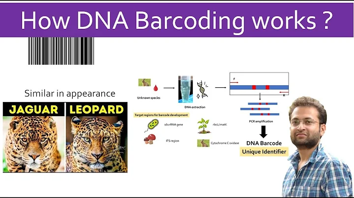 What is DNA Barcoding? How it works? Importance and applicaitons