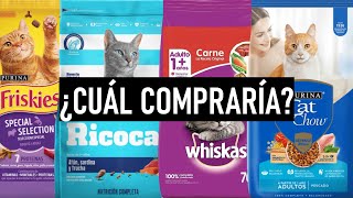 ¿Compraría ALIMENTO de SUPERMECADO para mis GATOS? ¿Cuál?