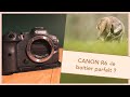 CANON R6 ME CONVIENT-IL TOUJOURS ?! #photographieanimaliere #canonr6