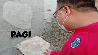 PAGI | STINGRAY AT AN IBONG MANDARAGIT NG PAIN SA BINGWIT |  BE COOL EXPRESS THE URAGON