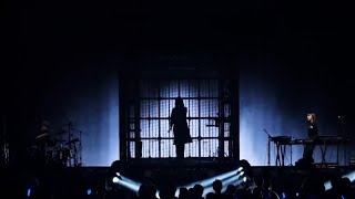 【Ado】FREEDOM (Live Performans)