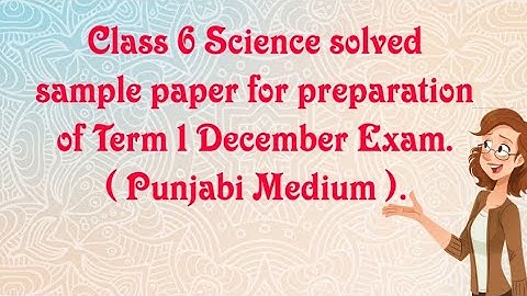 Solved Class 6th Science sample paper for Preparation of Term 1 December Exam. ( Punjabi Medium).