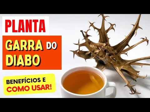 Vídeo: O punarnava aumenta a pressão arterial?