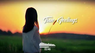 DJ GROSSU _ True Feelings | Amazing Balkanik & Instrumental Music | Official song