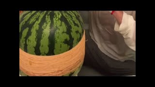 スイカ突き野郎の配信