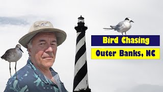 BIRDING the WILDS of the OUTER BANKS
