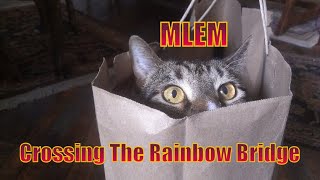 MLEM - Crossing The Rainbow Bridge