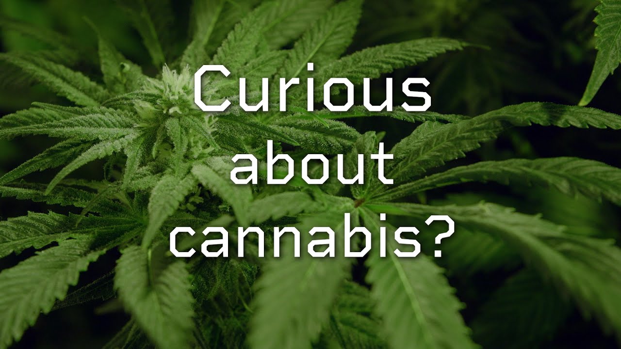 MYTH-BUSTING documentary "Demystifying Cannabis"