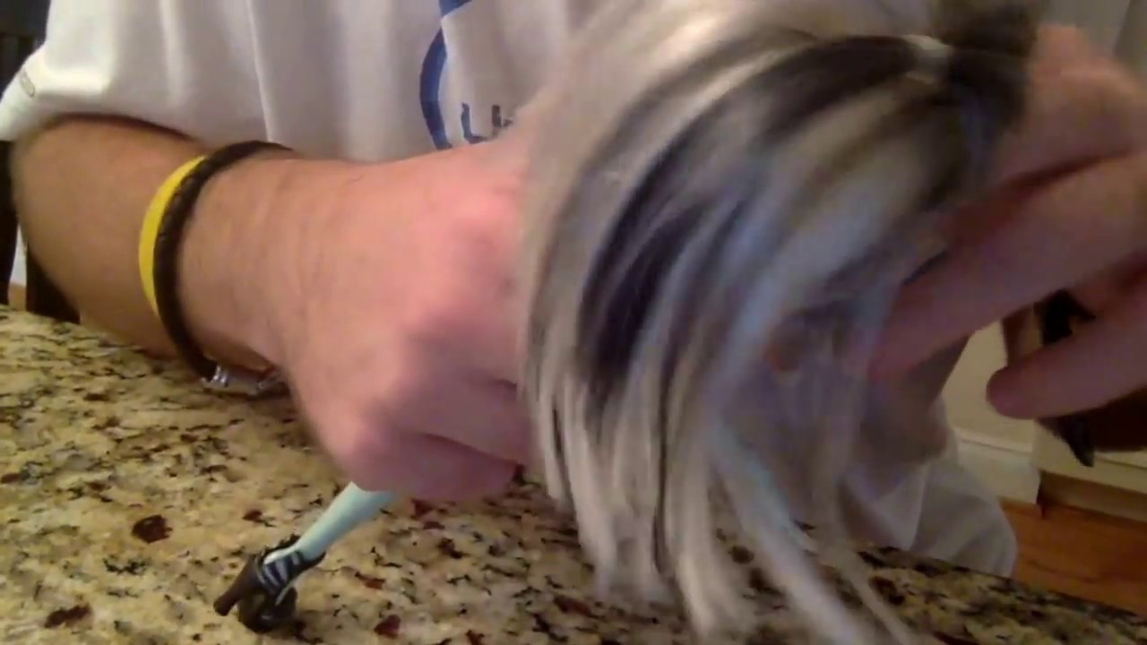 Monster High 3 teaser trailer (2019)