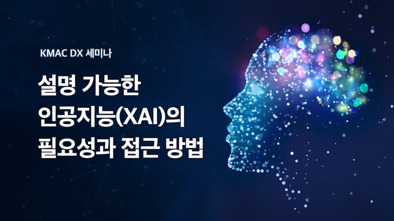 설명 가능한 인공지능(XAI)의 필요성과 접근 방법 - AI트랜스포메이션(AX) 비즈니스 인사이트