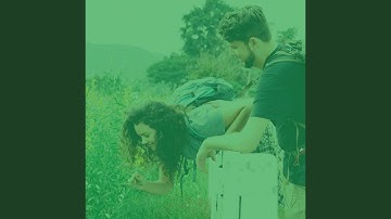 Calm Backdrops for Creative Daydreams