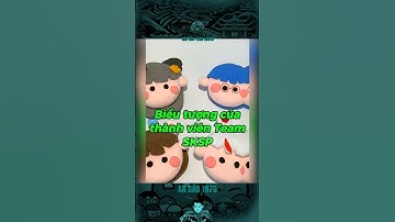 BIỂU TƯỢNG CỦA CÁC THÀNH VIÊN TEAM SKSP… #bảocóc #bảocócvlog #baococvlogboss #shorts #sksp #xh