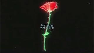 [가사해석] 🌑𝙼𝚢 𝙲𝚑𝚎𝚖𝚒𝚌𝚊𝚕 𝚁𝚘𝚖𝚊𝚗𝚌𝚎 - 𝚂𝚕𝚎𝚎𝚙💤