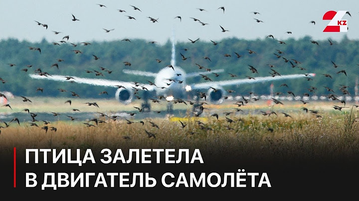 Птица залетела в двигатель самолёта в Южной Корее