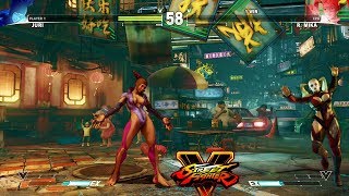 Street Fighter V Juri Vs R. Mika Pc Mod