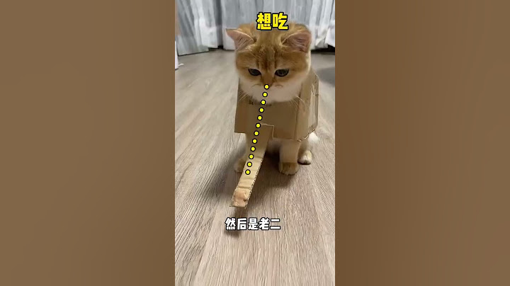 【牛奶是只猫】小老三：为什么两个姐姐都那么聪明？难道就是因为我长得好看吗？